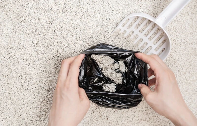person cleaning up clumps in cat litter box