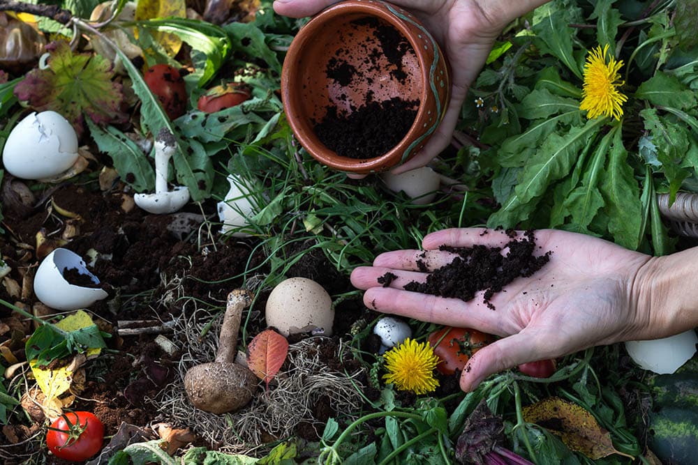 person composting coffee grounds and food waste
