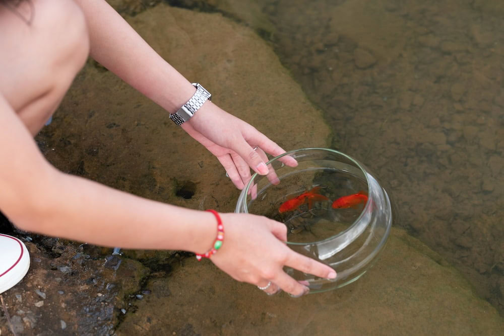 person holding a clear fish bowl
