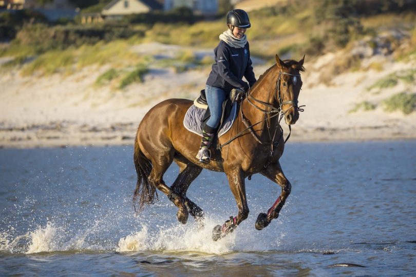 horse riding