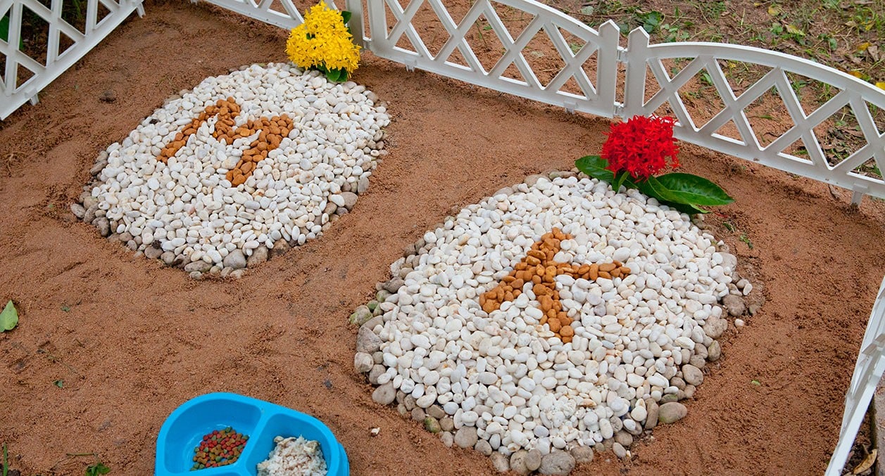 pet grave