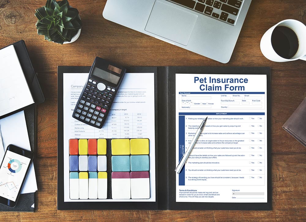 pet insurance claim form