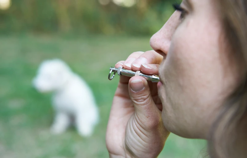 pet owner using dog whistle to train her dog