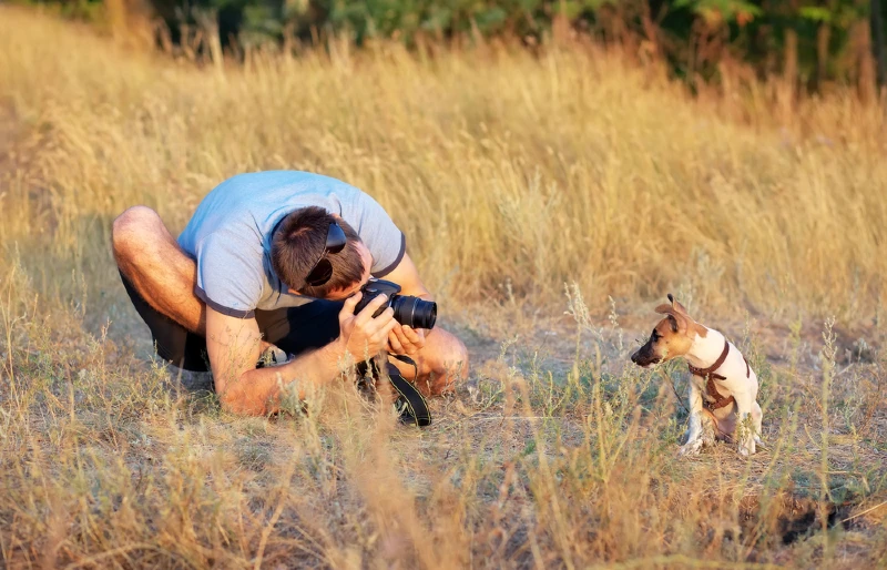 photographer taking a picture of a dog outdoors
