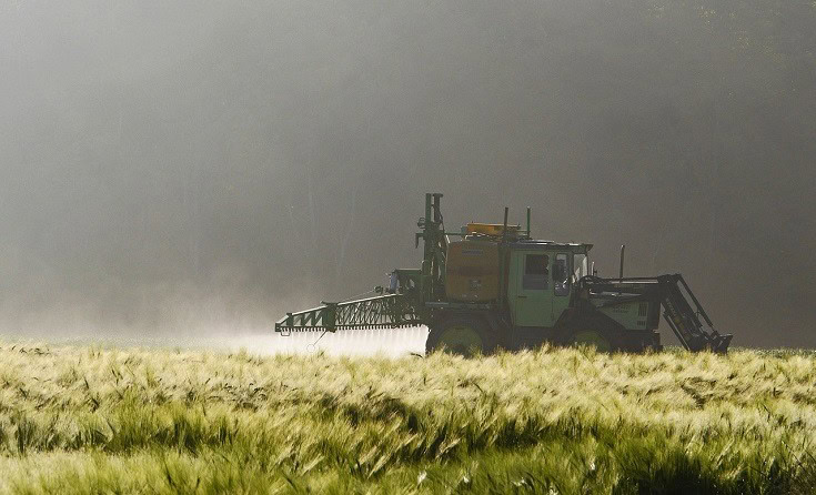 plants and pesticides