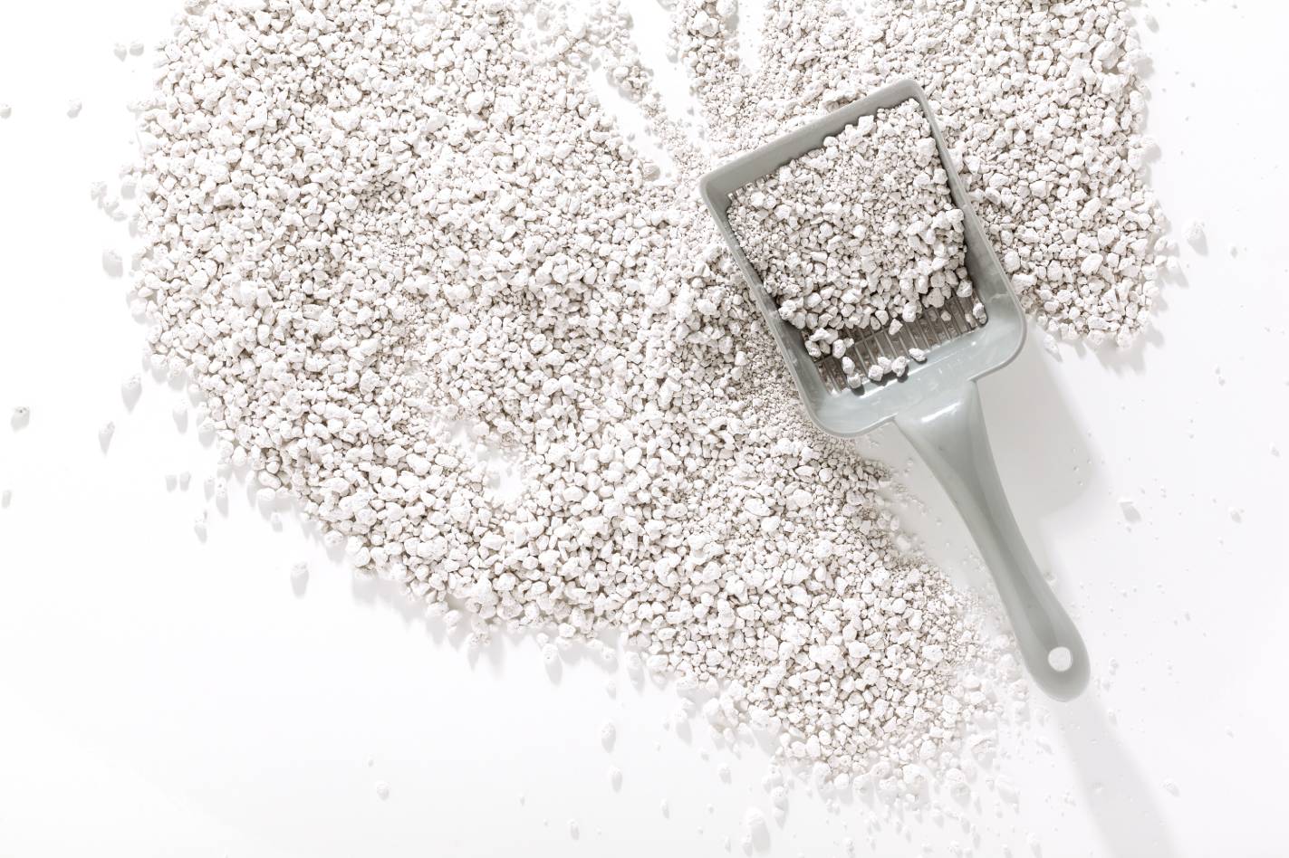 poop sand with scoop_IriGri_Shutterstock