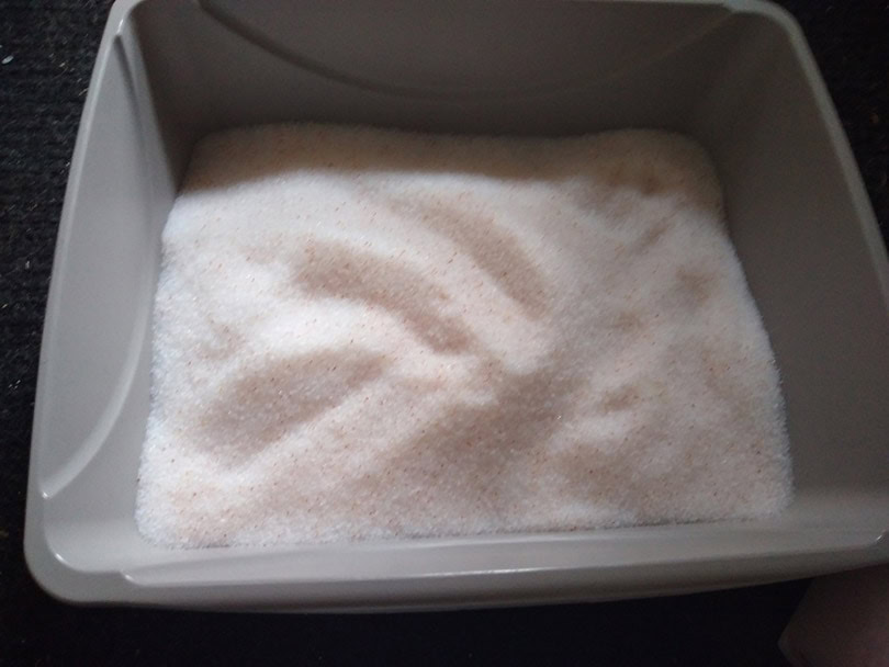 pretty litter in a gray litter box