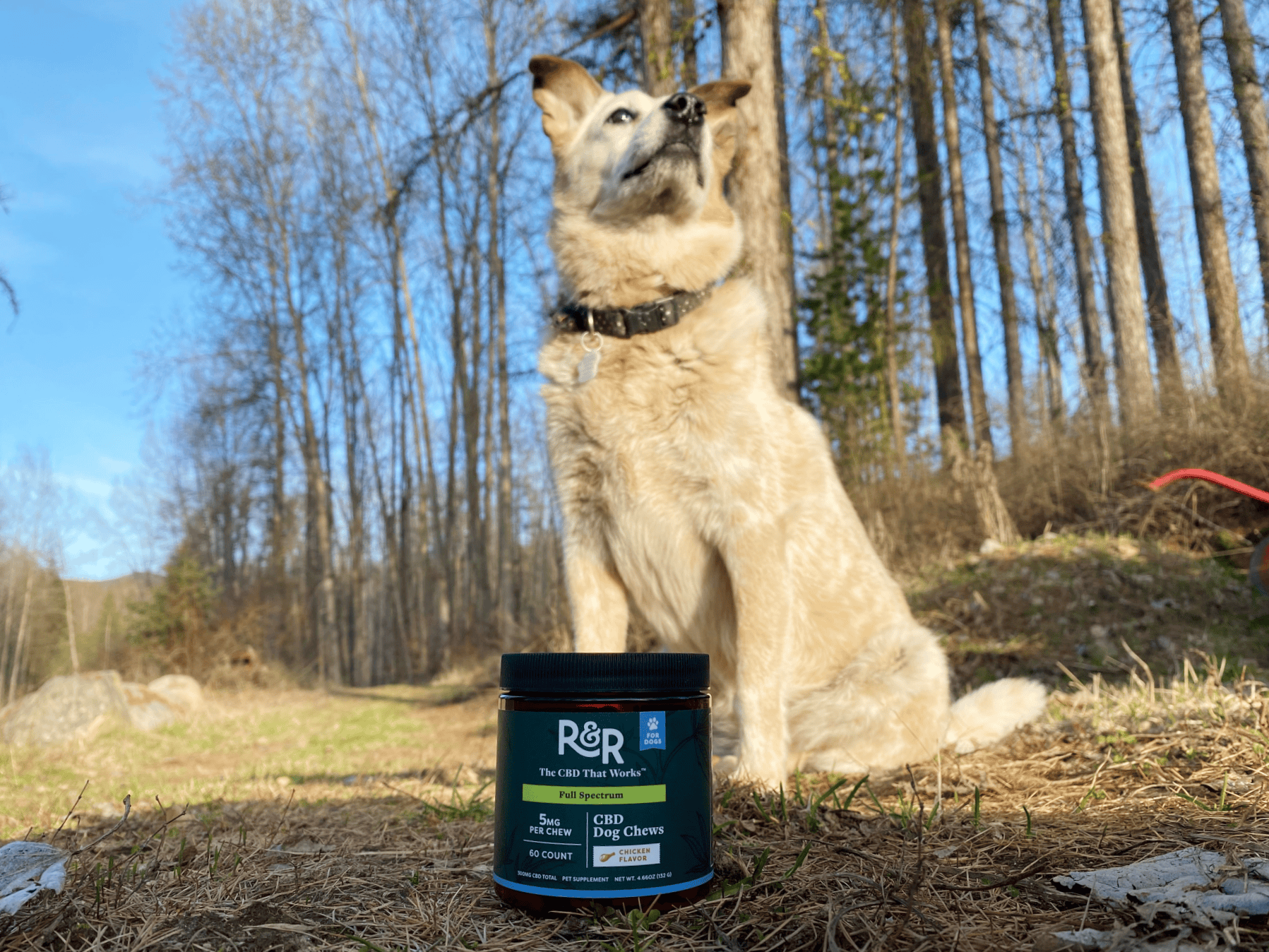 R&R CBD