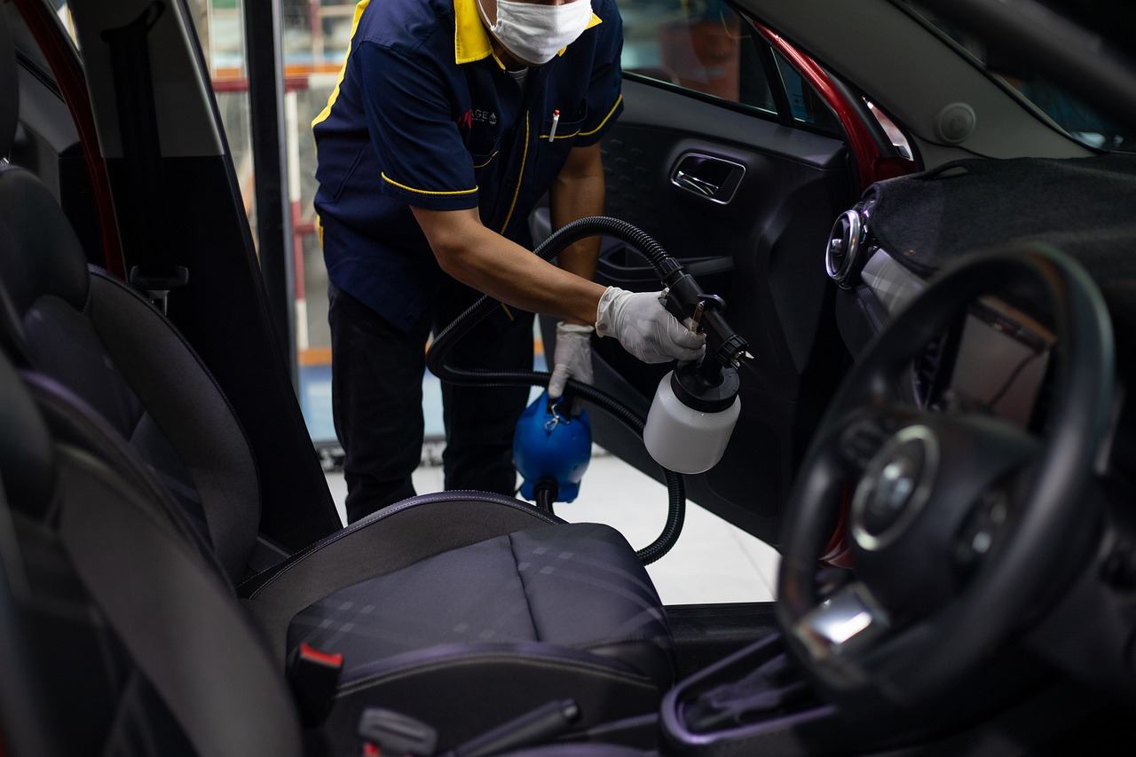professional car cleaner
