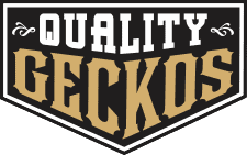 qualitygeckologo