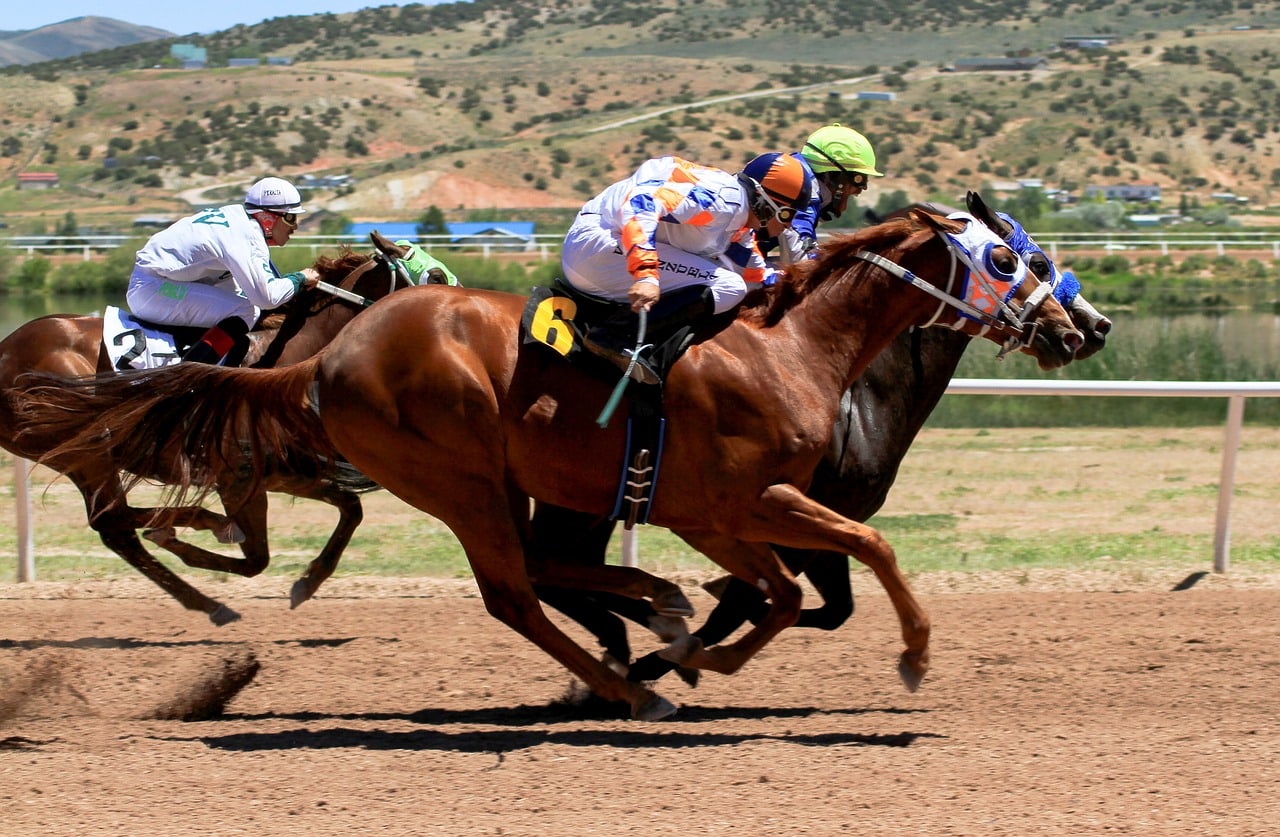 racehorses