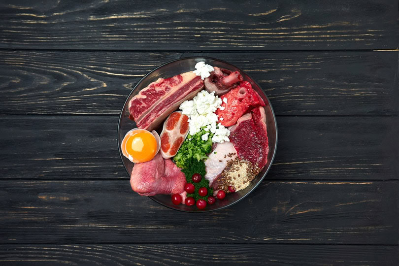 raw dog food
