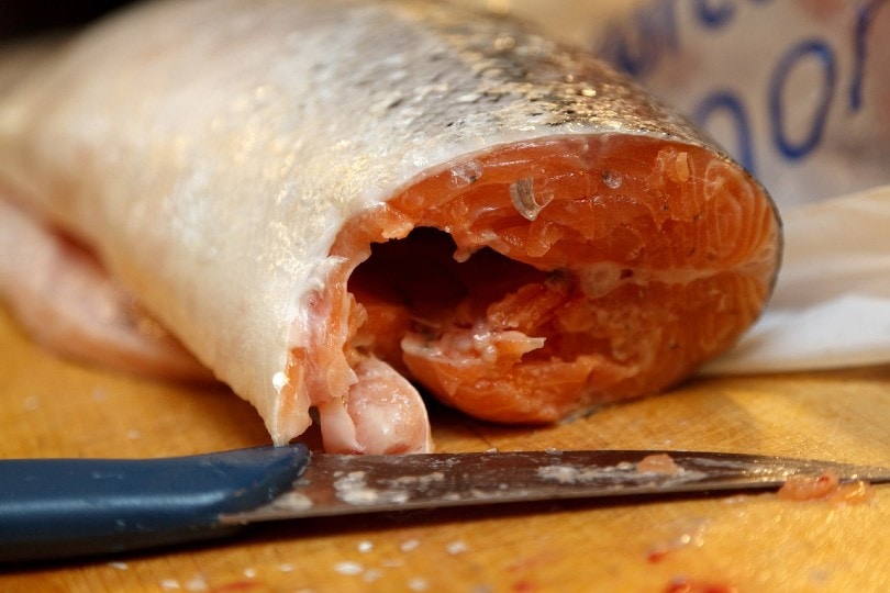 raw fish being cut