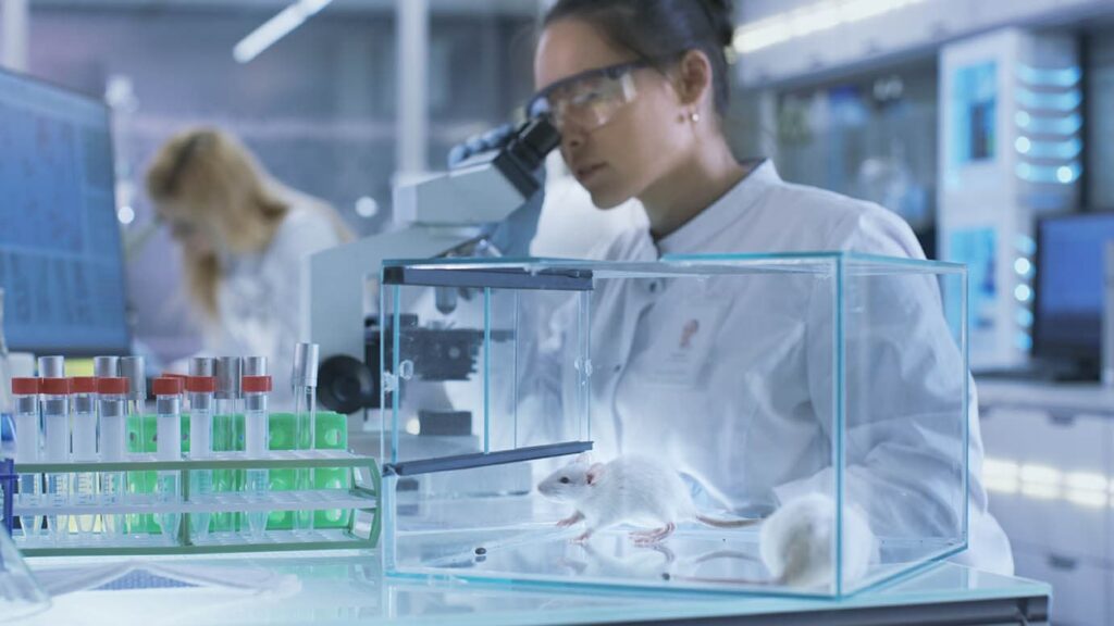 research scientist testing rats in a laboratory