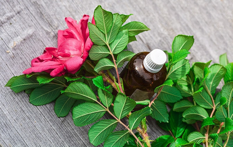 rose essential oil
