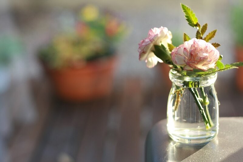 carnations