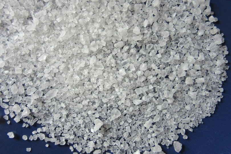 salt