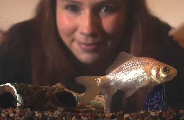 samantha dixon with her goldfish