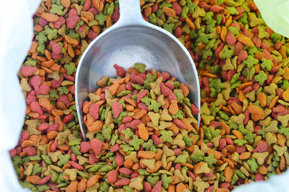 scooping cat food