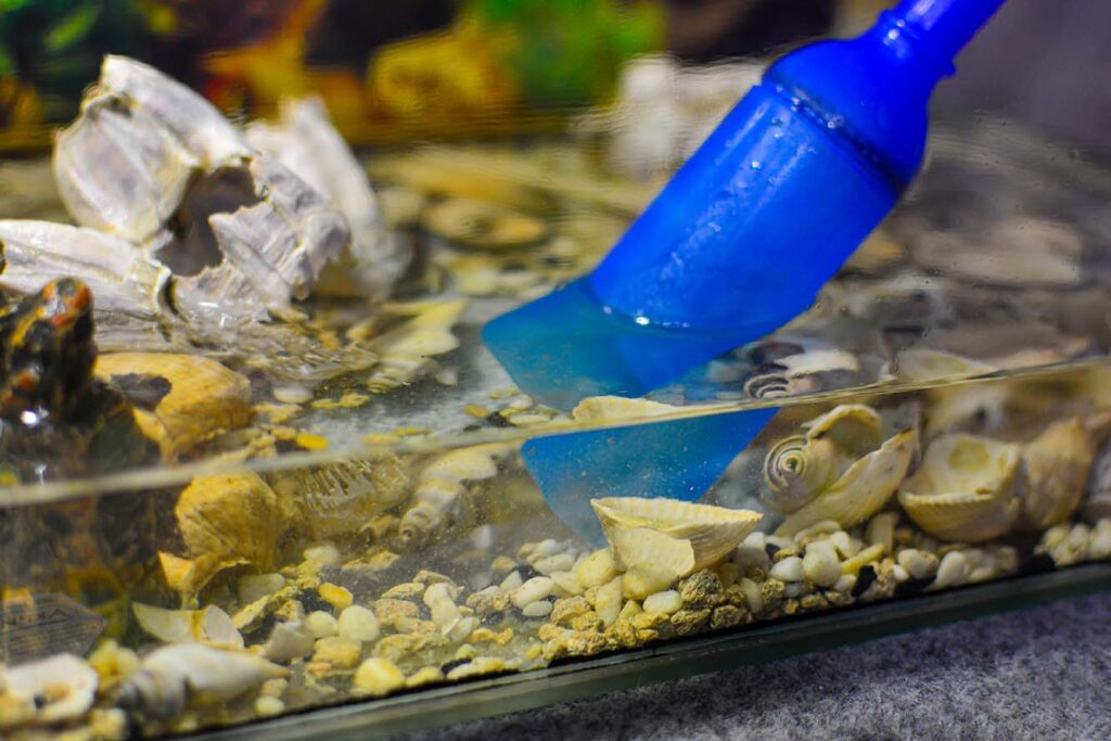 siphoning aquarium