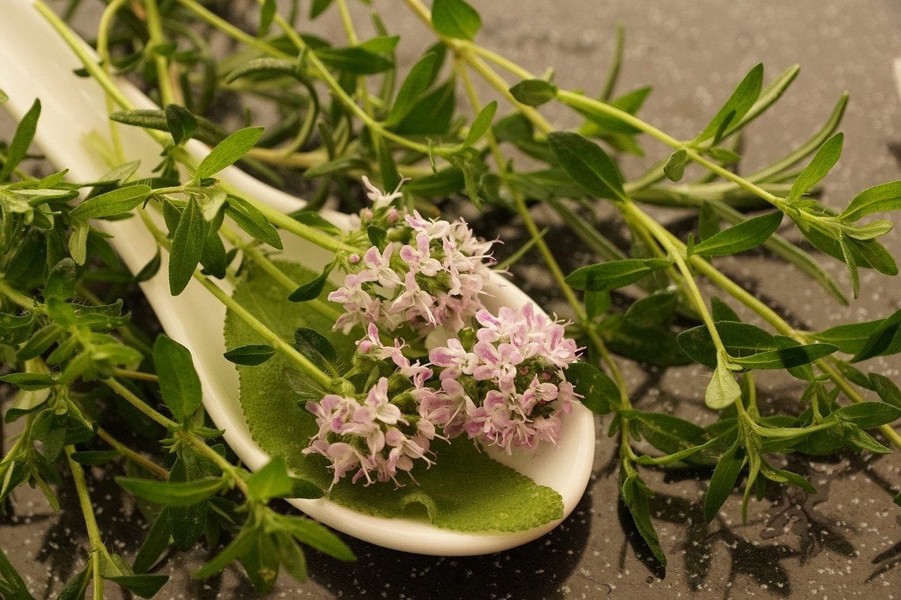 spoonful of thyme