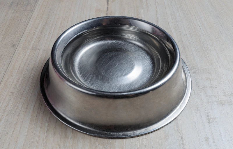 stainless steel water bowl for dogs, cats, pets