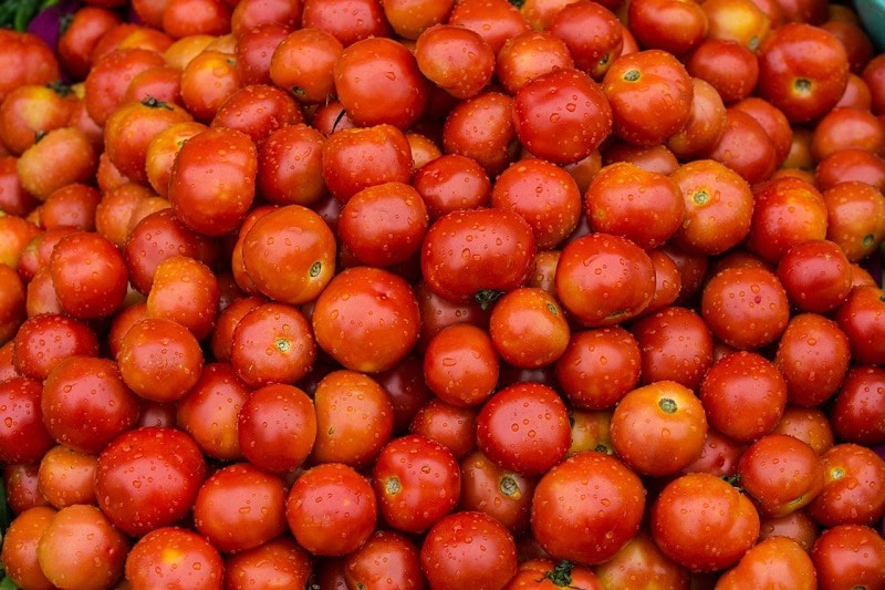 tomatoes