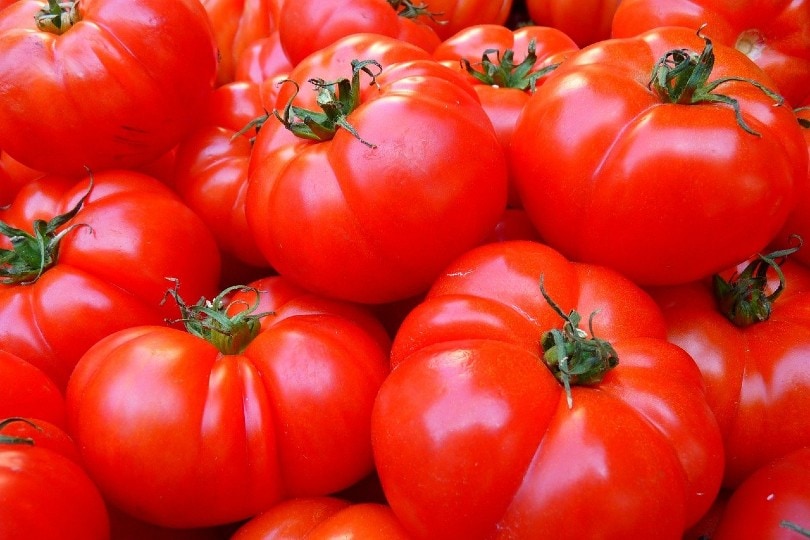 tomatoes