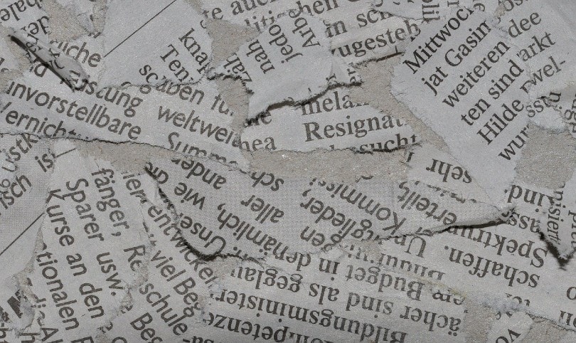 torn newspaper