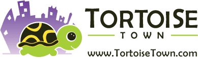 tortoise-for-sale-1