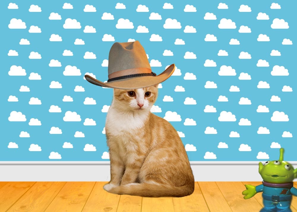 toy story cat