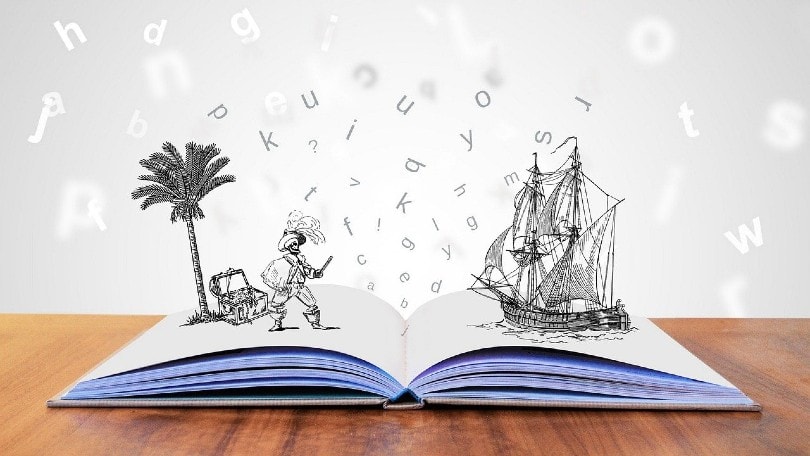 treasure island inspired photo