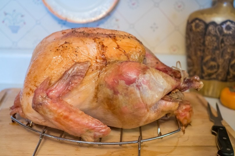 turkey