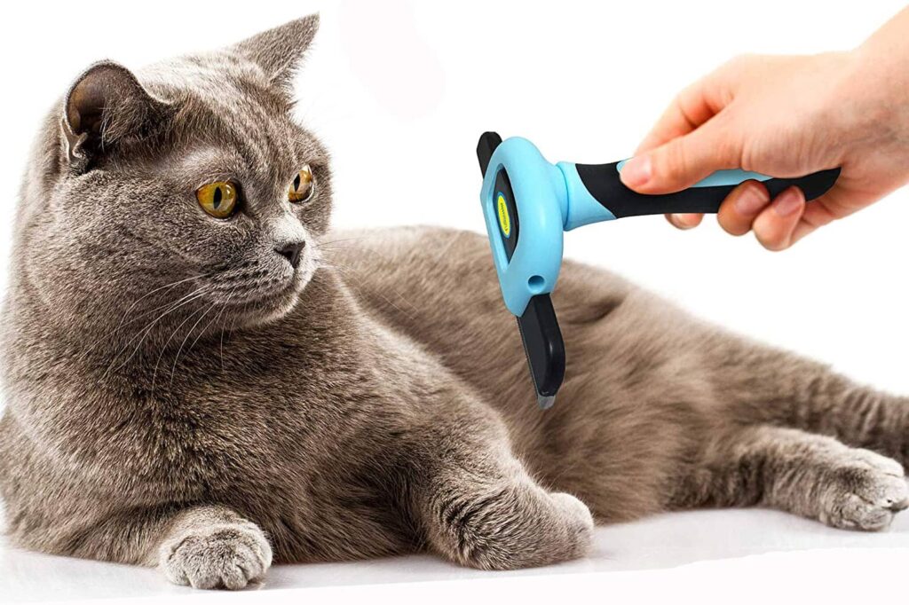 DakPets Pet Grooming Brush