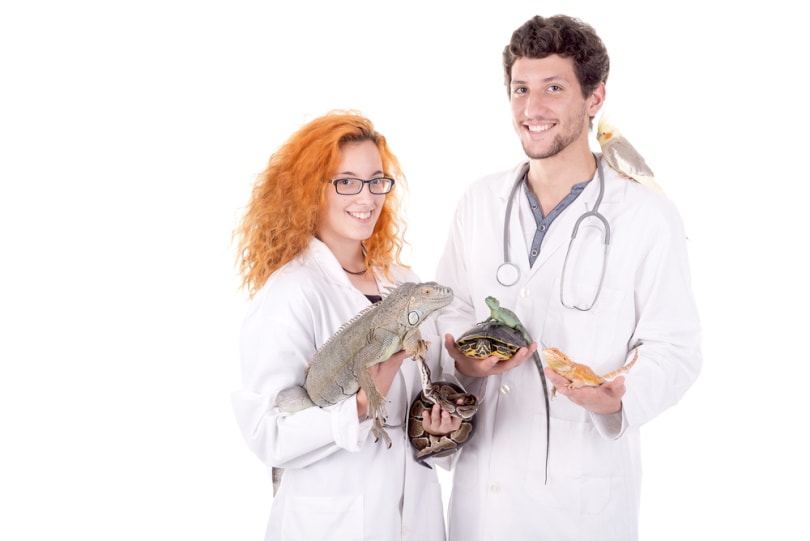 veterinarians posing with wild exotic animals