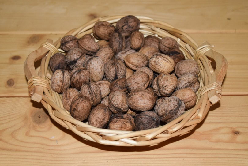 walnuts in basket tray