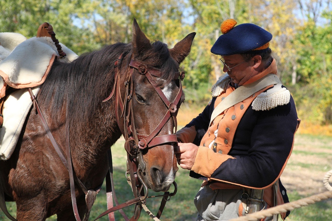 war horse