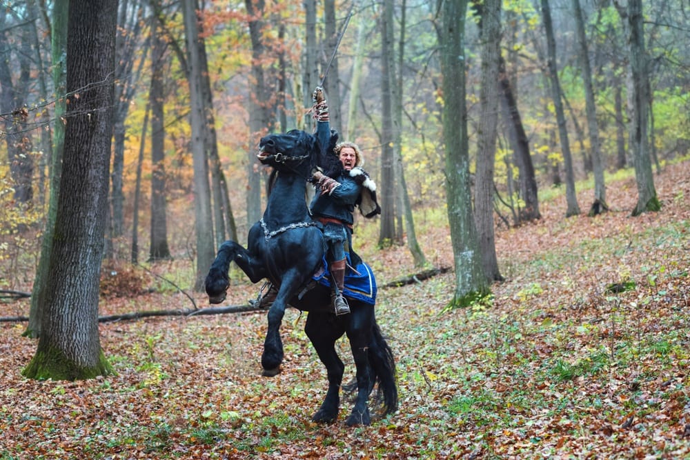 fighting horse LOTR