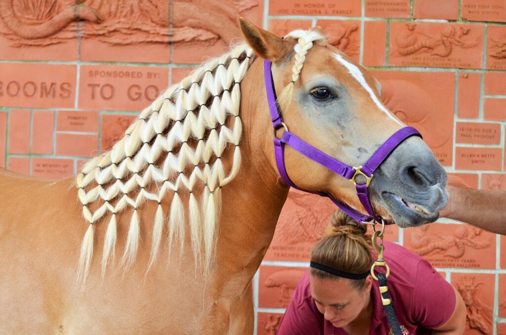 woman and a braided horse