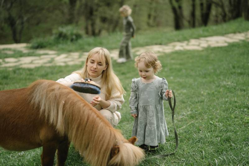 woman brushing the horse while the little girl is holding the leash