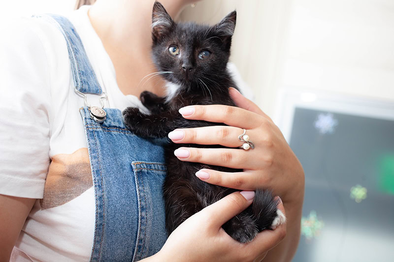 woman carrying a kitten with eye disease