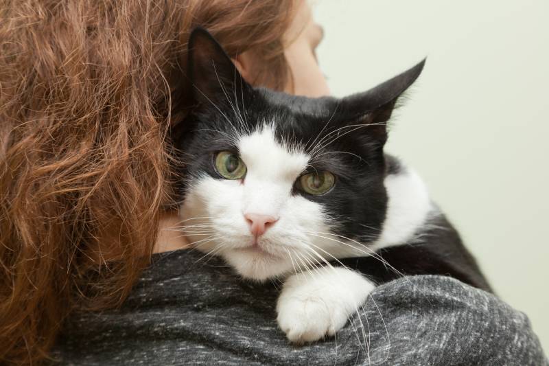 woman carrying her cat on her shoulders