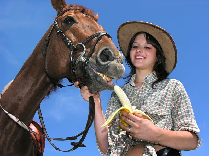 woman feeding banana to her horse