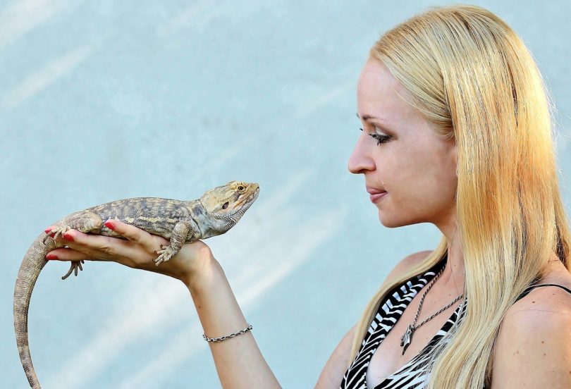 woman holding a bearded dragon_Pixabay