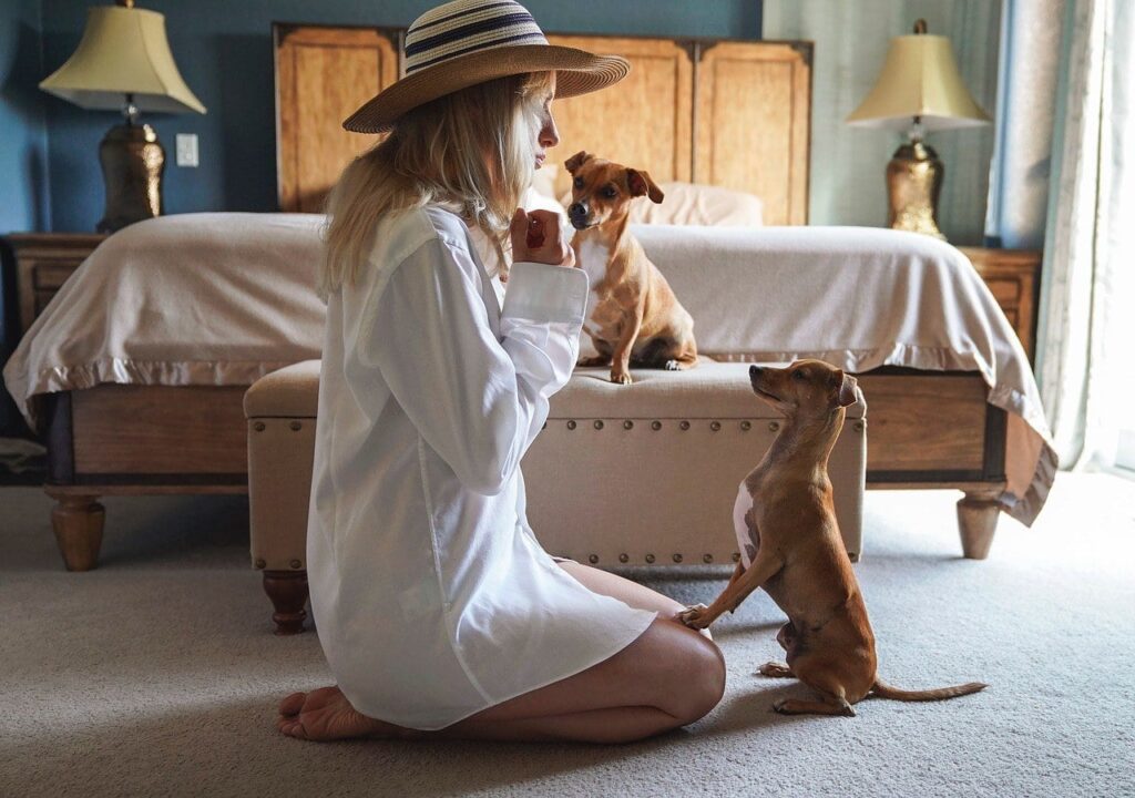 woman teaching dog
