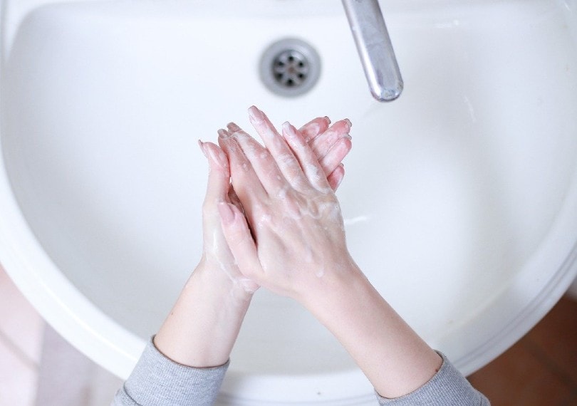 woman washing her hands