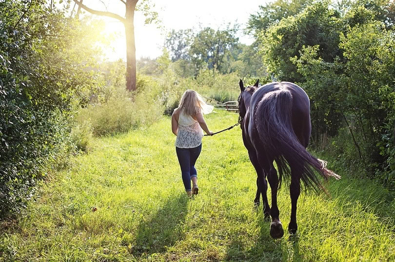 woman-with-horse-pixabay