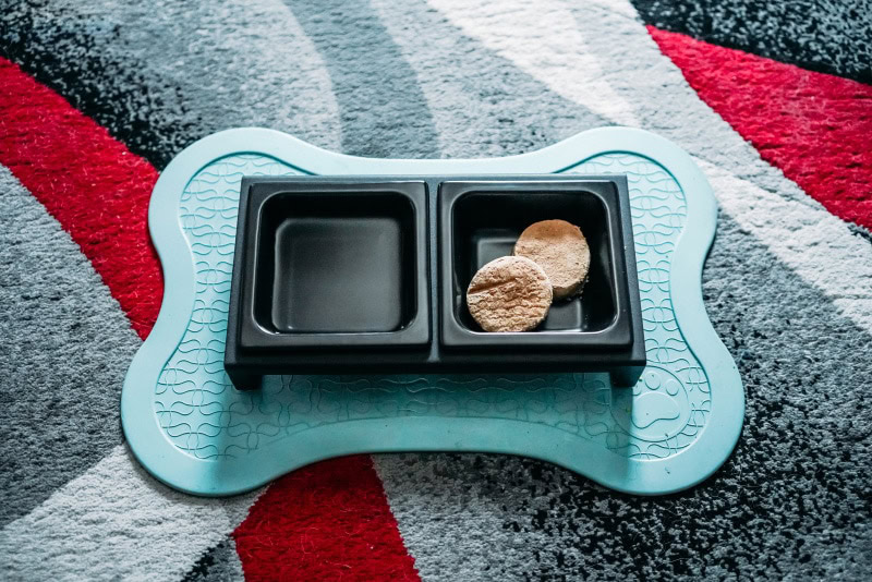 yamazaki pet food bowl - dog food in the bowl