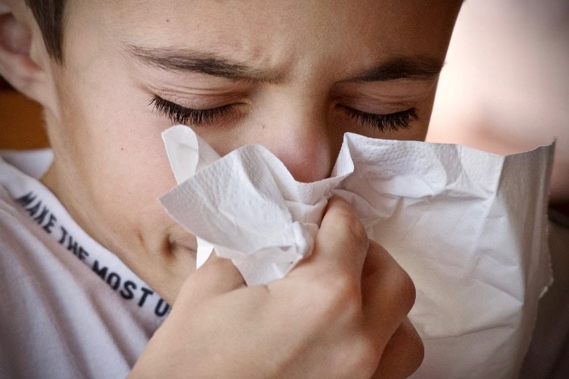 young boy sneezing