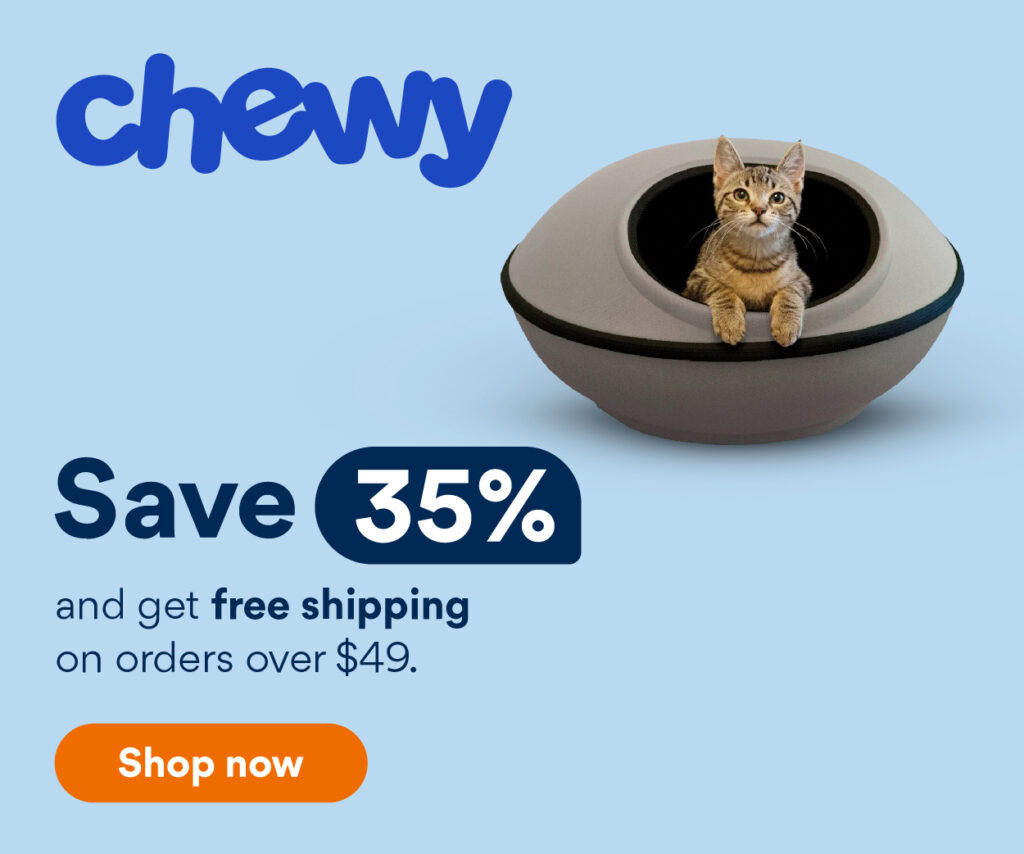 Happy Cat